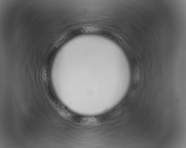 X0000080700715200701121751