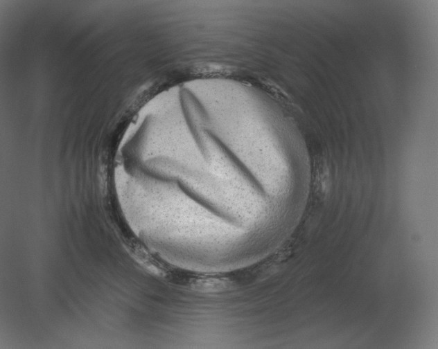 X0000080700716200701121751