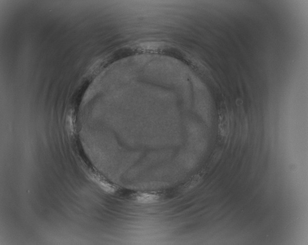 X0000080700718200701121751