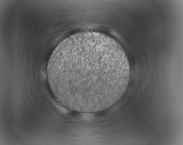 X0000080700719200701121751