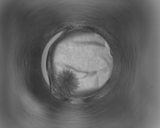 X0000080700720200701121751