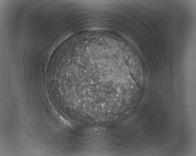 X0000080700721200701121750