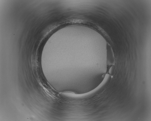 X0000080700722200701121750