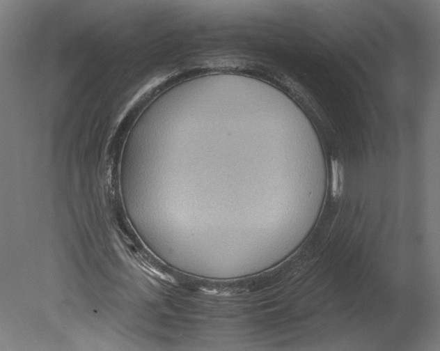 X0000080700723200701121750