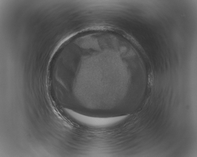 X0000080700724200701121750