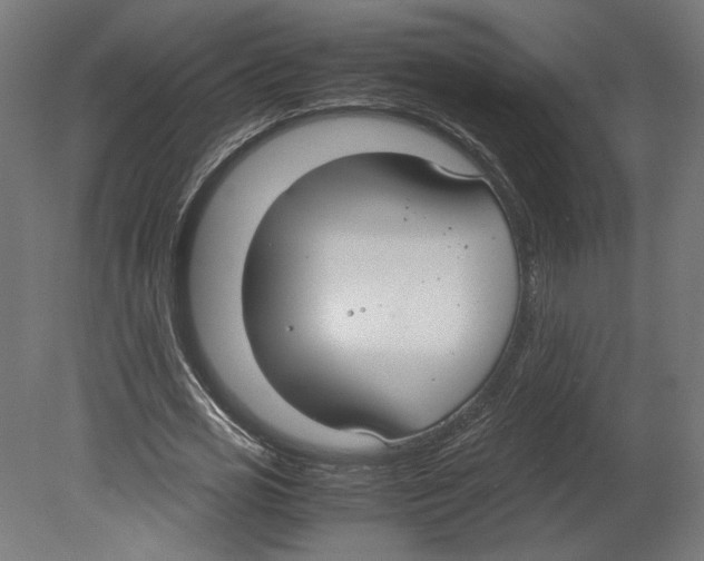 X0000080700725200701121750