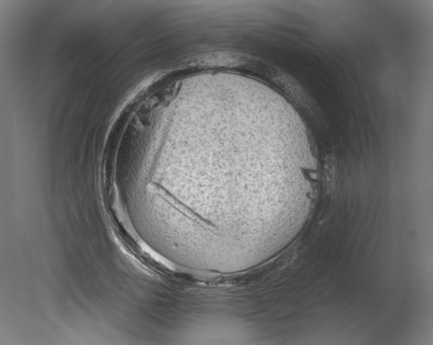 X0000080700726200701121750