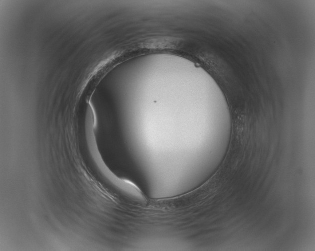 X0000080700727200701121750