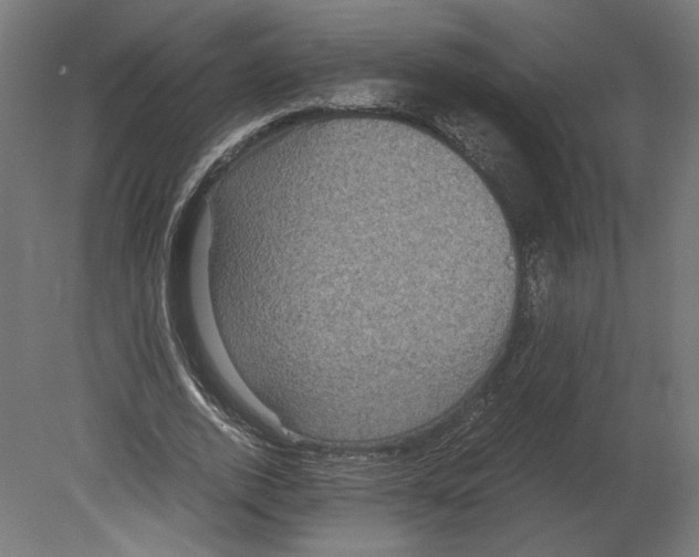 X0000080700728200701121750