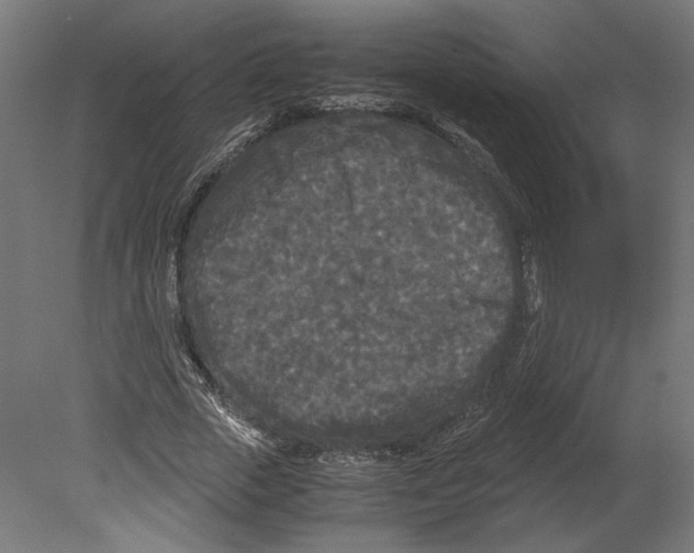 X0000080700729200701121750