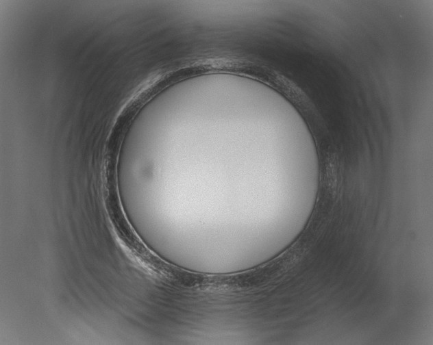 X0000080700730200701121750