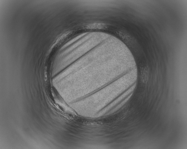 X0000080700731200701121750