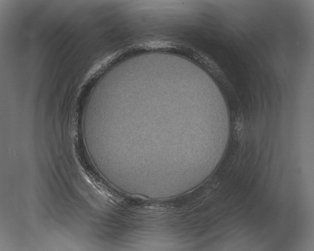 X0000080700732200701121750