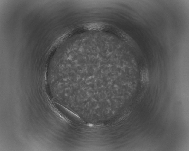 X0000080700733200701121750