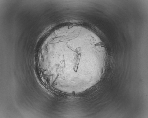 X0000080700734200701121750