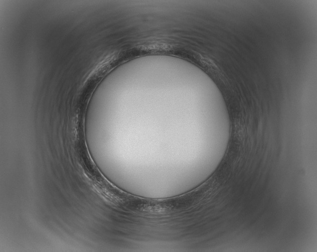 X0000080700735200701121751