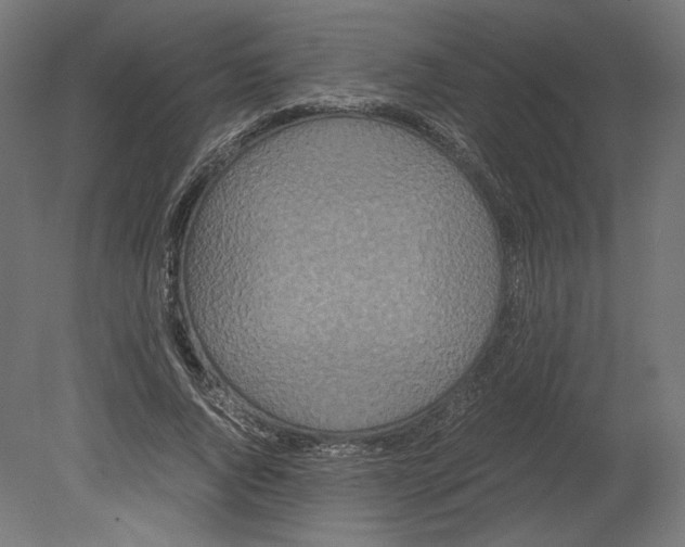 X0000080700736200701121751