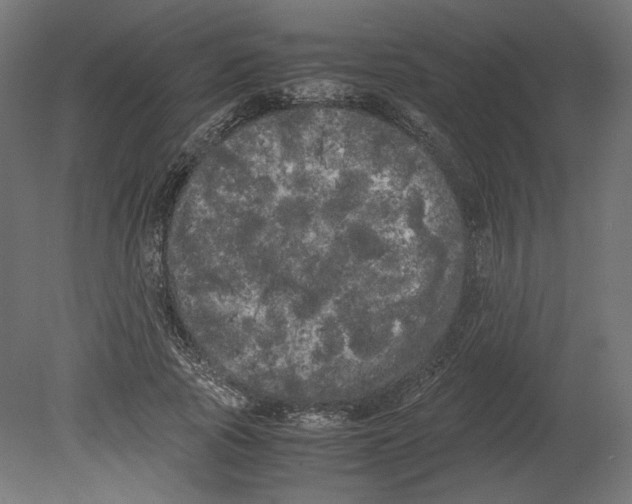 X0000080700737200701121751