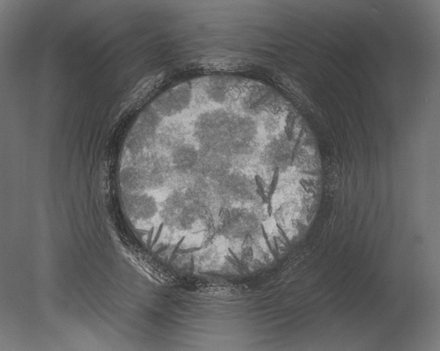 X0000080700738200701121751