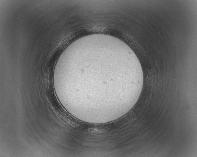 X0000080700739200701121751