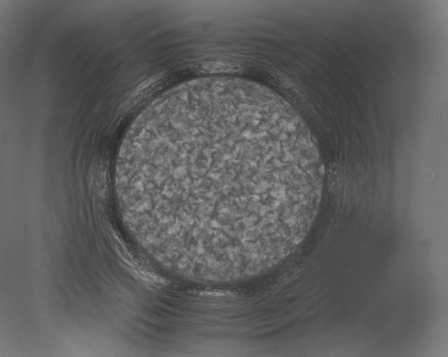 X0000080700741200701121751