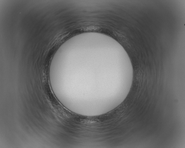 X0000080700743200701121751