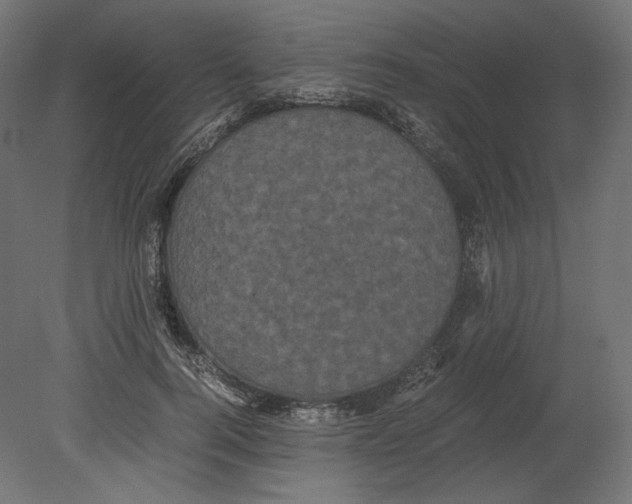 X0000080700744200701121751