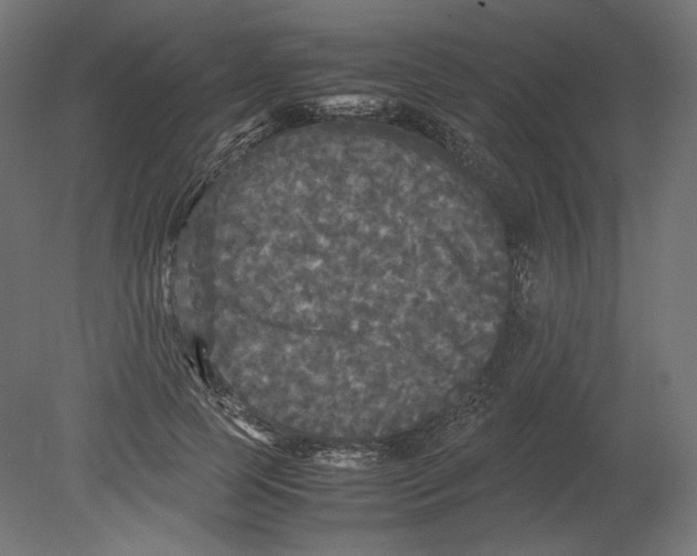 X0000080700745200701121751