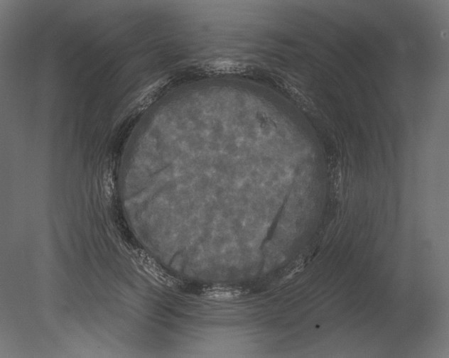 X0000080700746200701121751