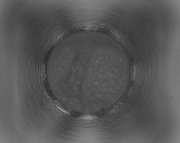 X0000080700748200701121751