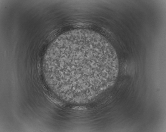 X0000080700749200701121751