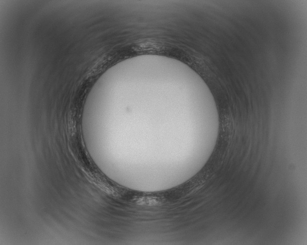 X0000080700751200701121751