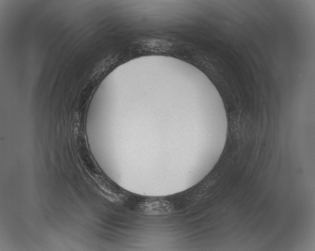 X0000080700752200701121751