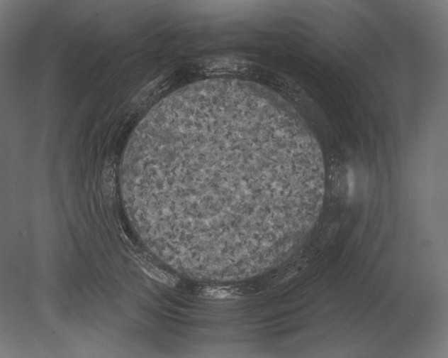 X0000080700753200701121751