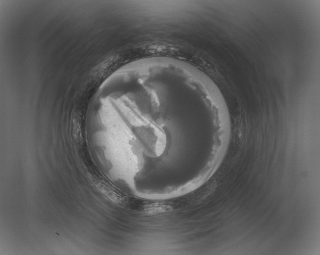 X0000080700754200701121751