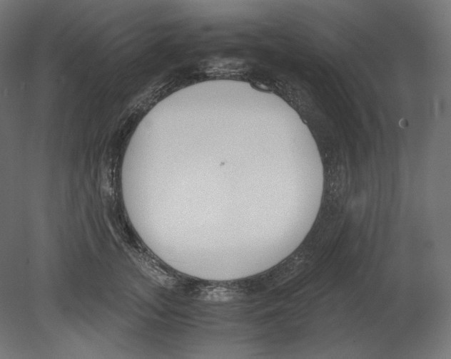 X0000080700755200701121751