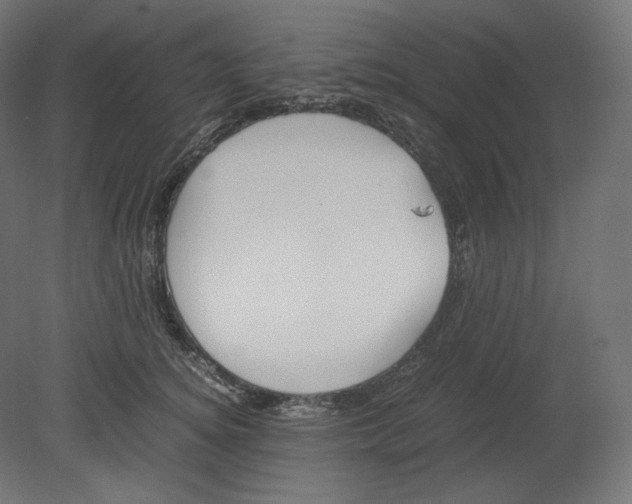 X0000080700756200701121751