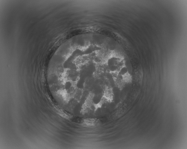 X0000080700757200701121751