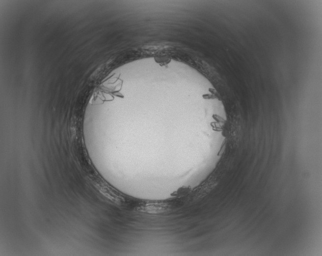 X0000080700758200701121751