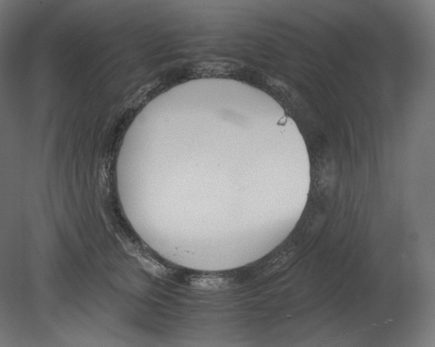 X0000080700759200701121751