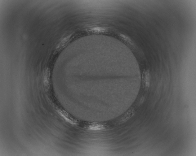 X0000080700760200701121751