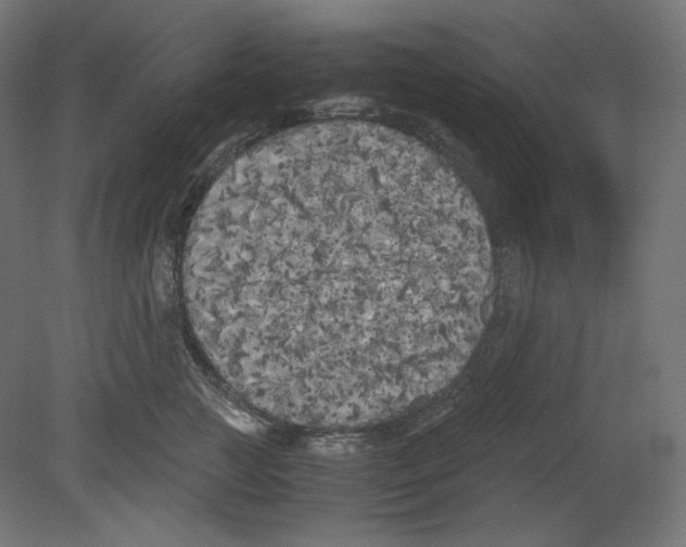 X0000080700761200701121751