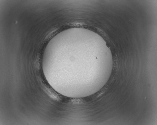 X0000080700762200701121751