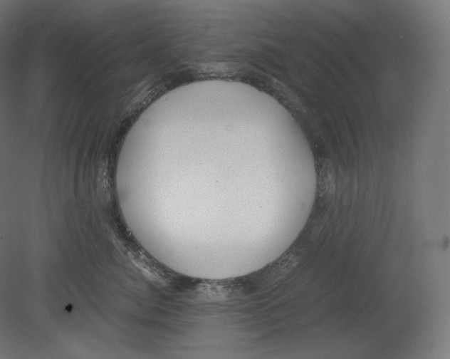 X0000080700764200701121751