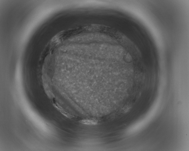 X0000080700765200701121751