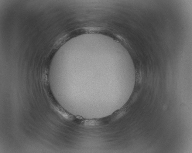 X0000080700766200701121751