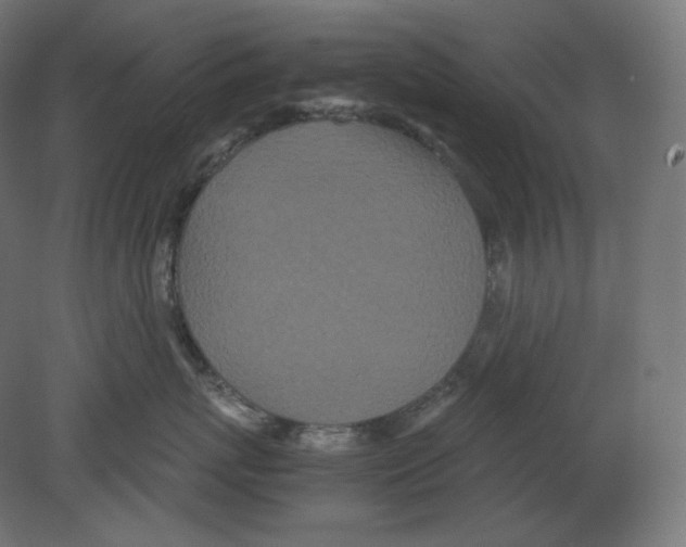 X0000080700767200701121751