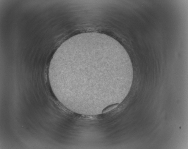 X0000080700768200701121751