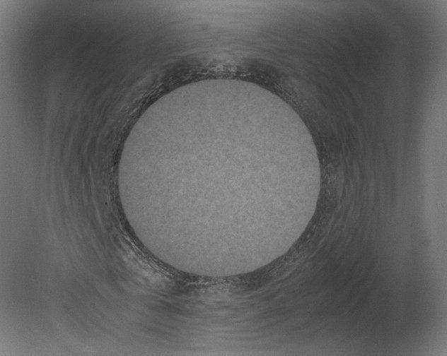 X0000080700769200701121750