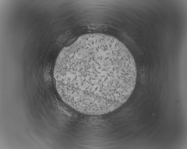 X0000080700770200701121750